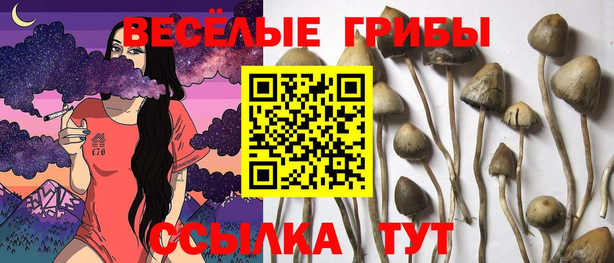 Галлюциногенные грибы мухоморы Верхний Уфалей